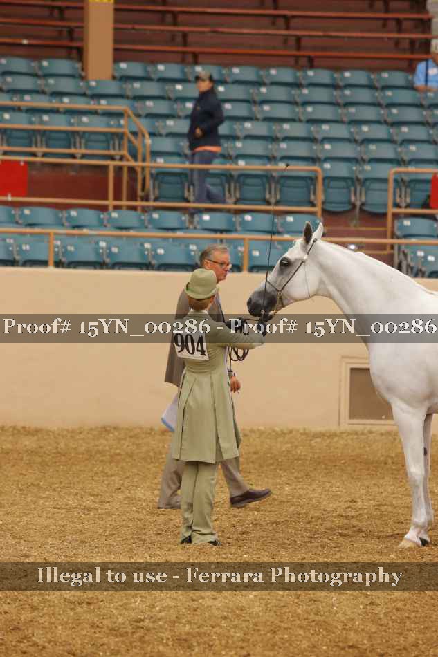 Proof 15YN_00286