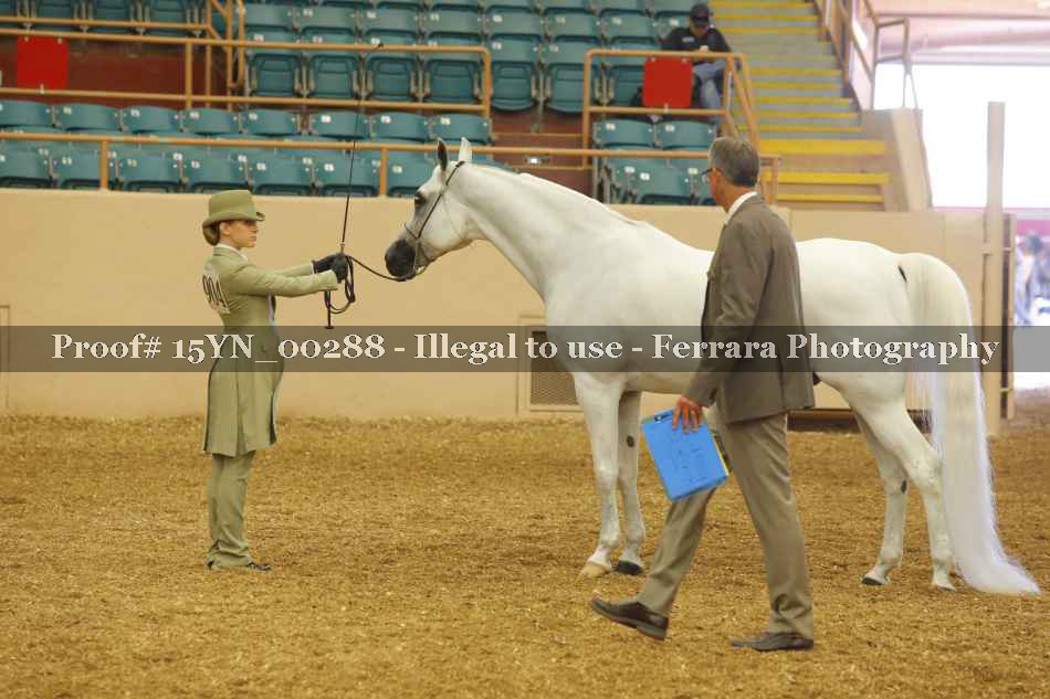 Proof 15YN_00288