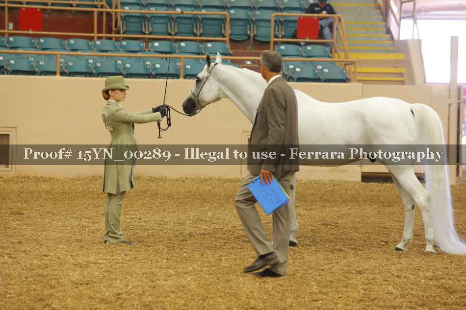 Proof 15YN_00289