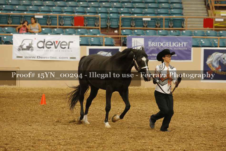 Proof 15YN_00294
