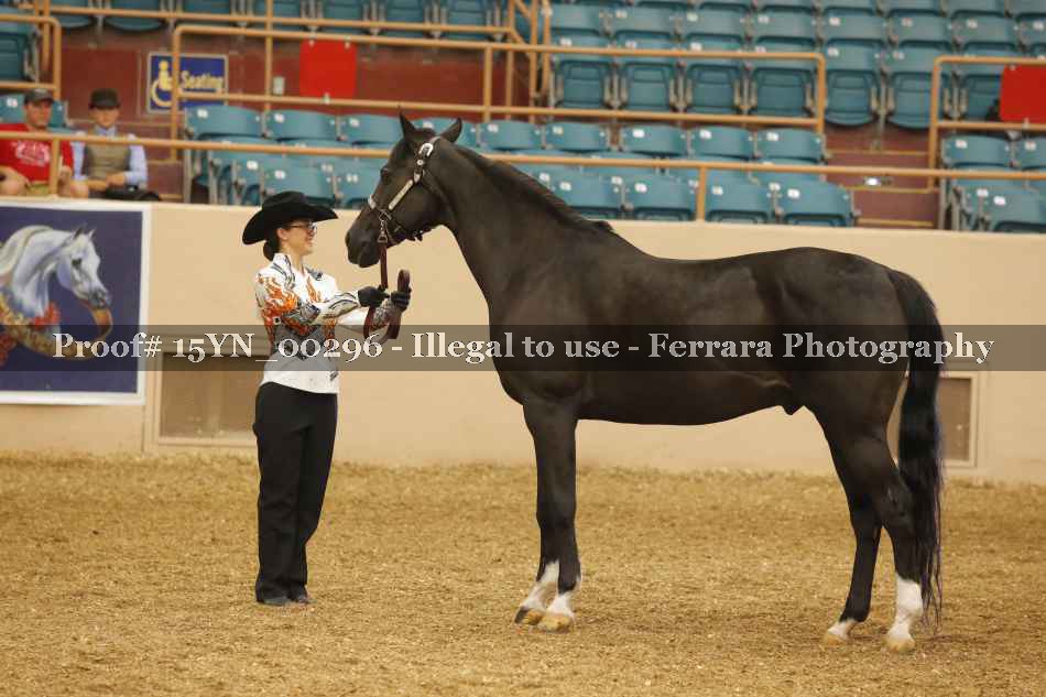 Proof 15YN_00296