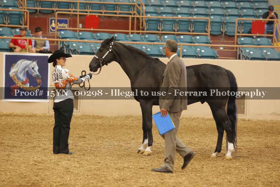 Proof 15YN_00298