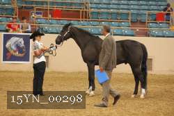 15YN_00298 proof