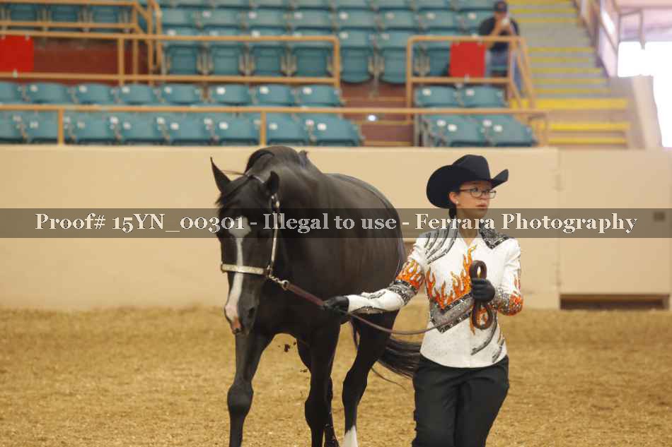Proof 15YN_00301