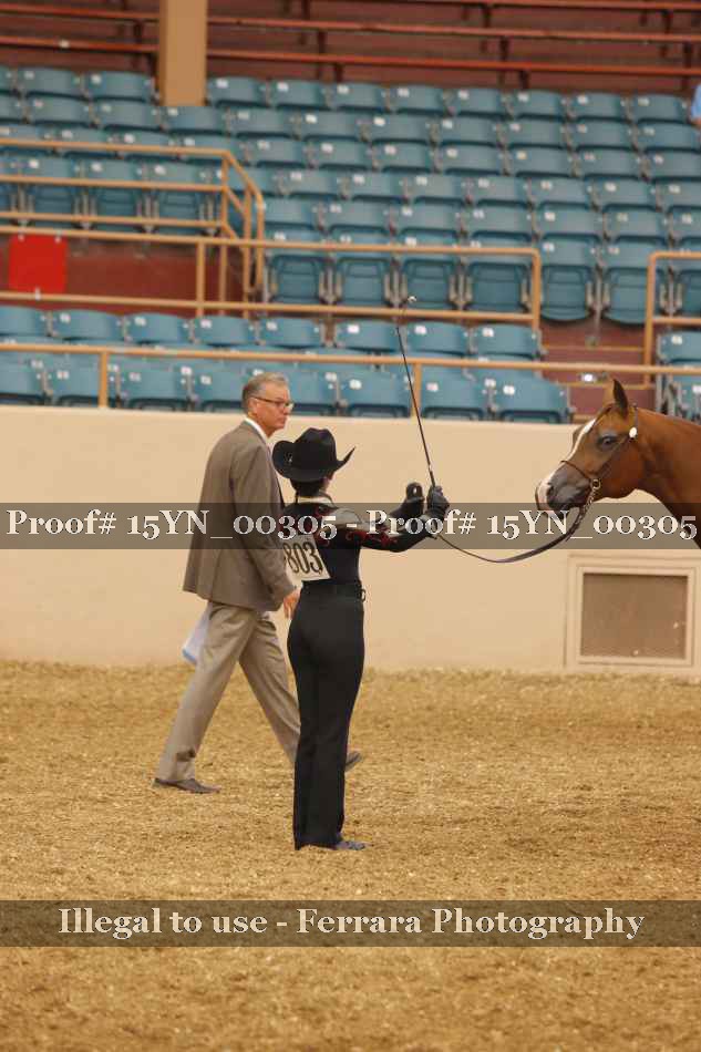 Proof 15YN_00305