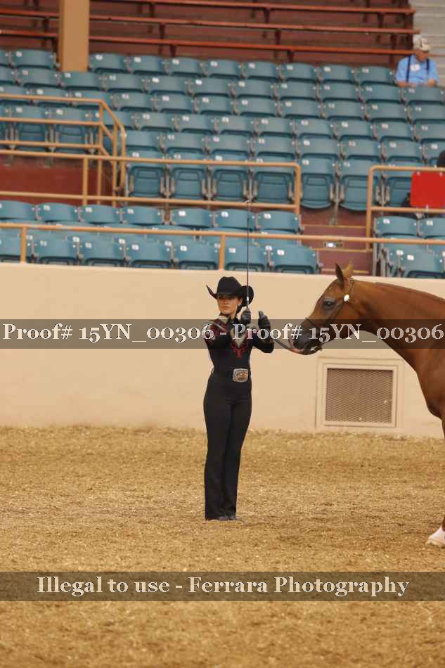 Proof 15YN_00306