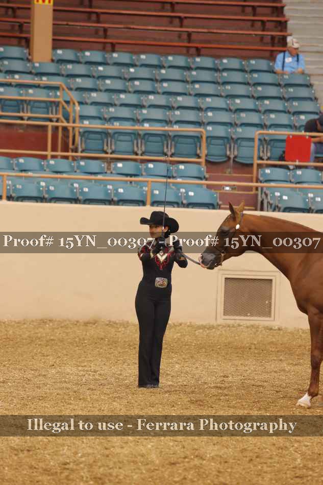 Proof 15YN_00307