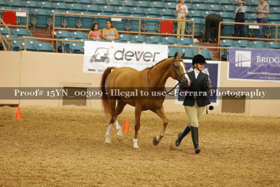 Proof 15YN_00309