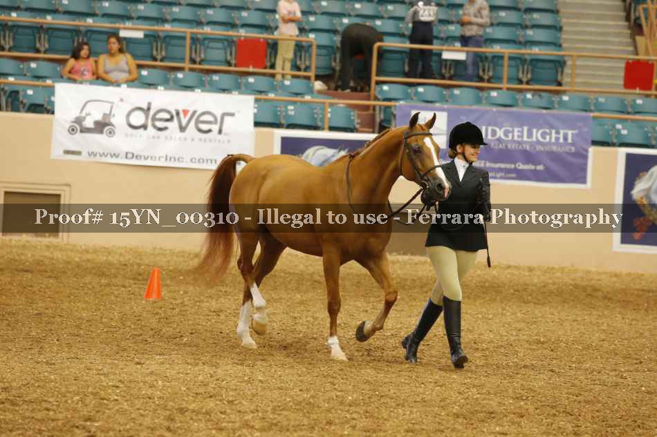 Proof 15YN_00310