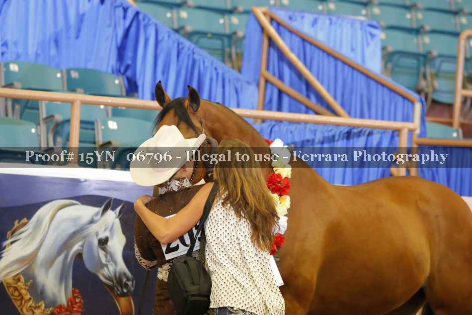 Proof 15YN_06796