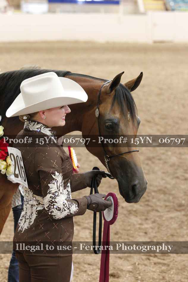 Proof 15YN_06797