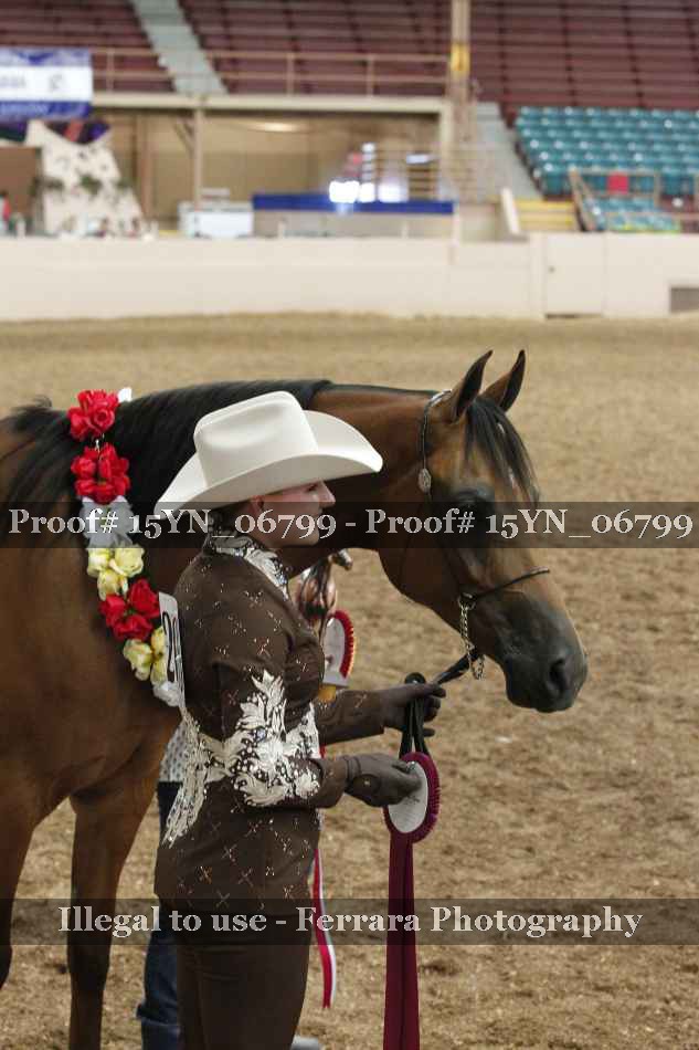 Proof 15YN_06799