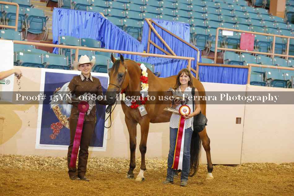 Proof 15YN_06801