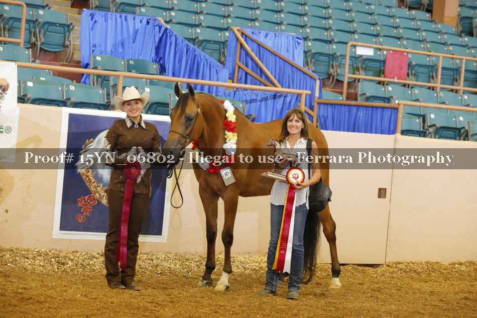 Proof 15YN_06802