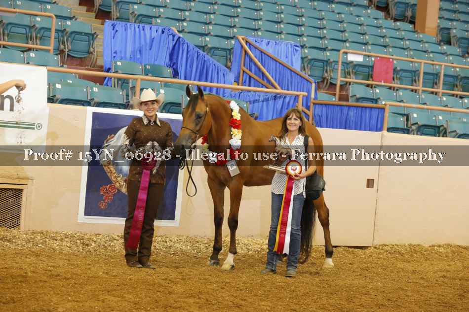 Proof 15YN_06928