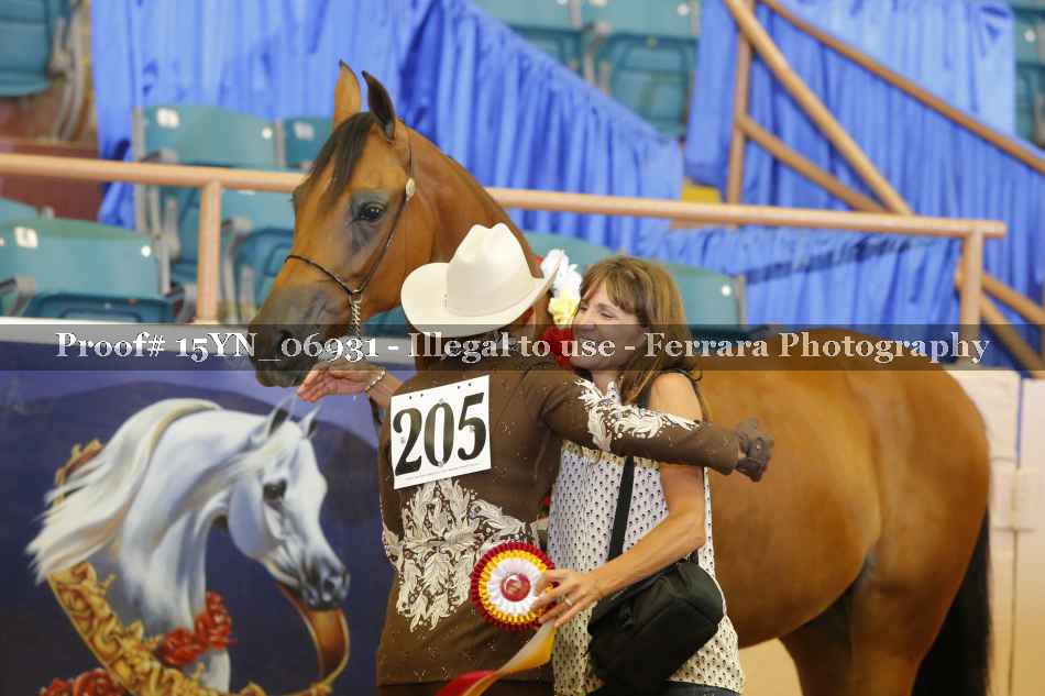 Proof 15YN_06931