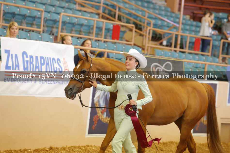 Proof 15YN_06932