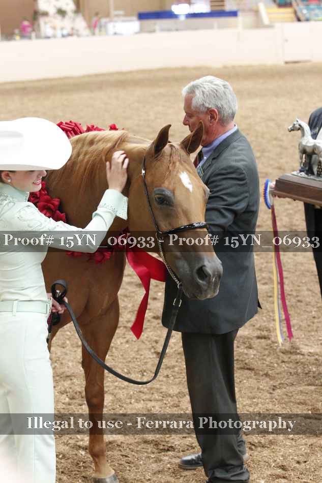 Proof 15YN_06933