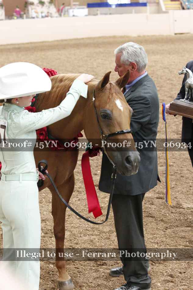 Proof 15YN_06934