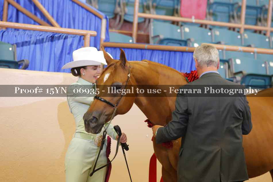Proof 15YN_06935