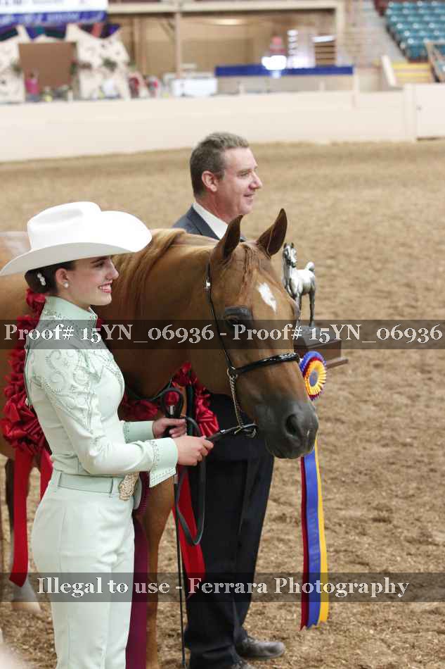Proof 15YN_06936