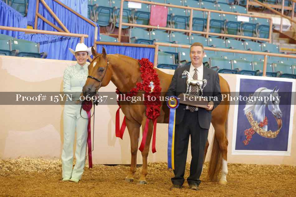 Proof 15YN_06937