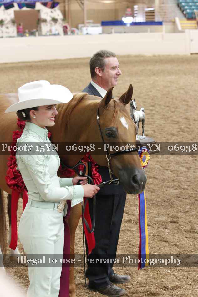 Proof 15YN_06938