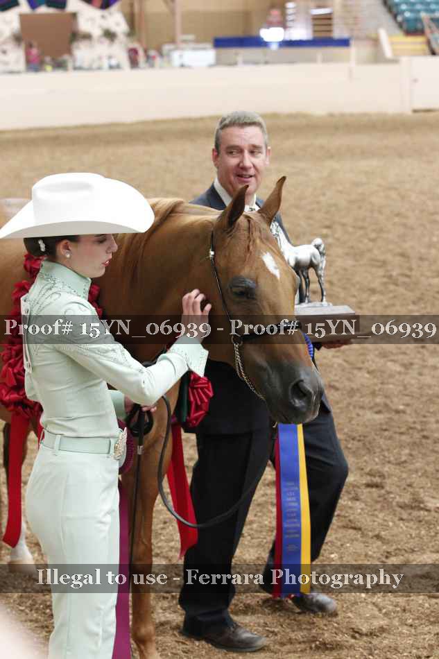 Proof 15YN_06939