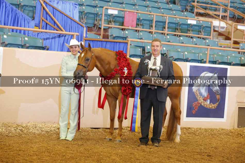 Proof 15YN_06941
