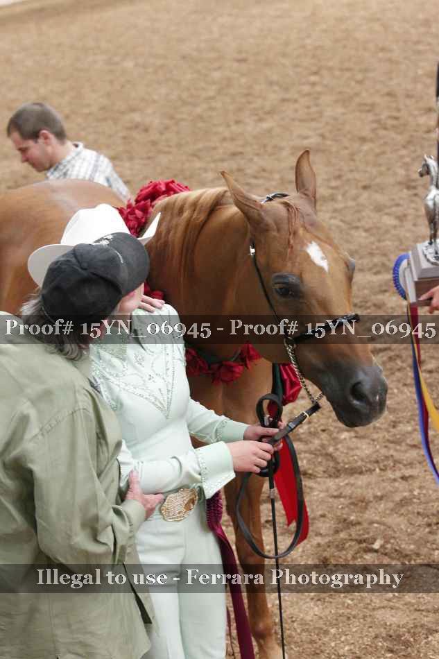 Proof 15YN_06945