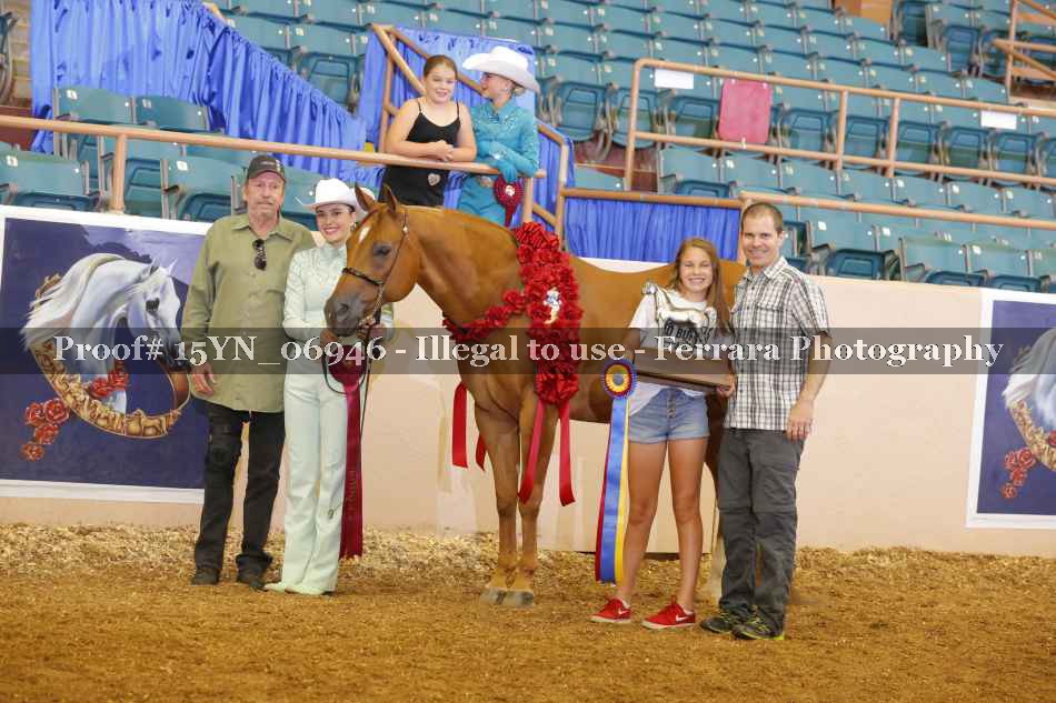 Proof 15YN_06946