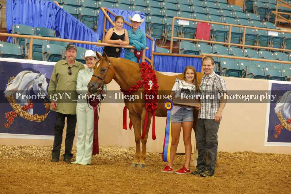 Proof 15YN_06947