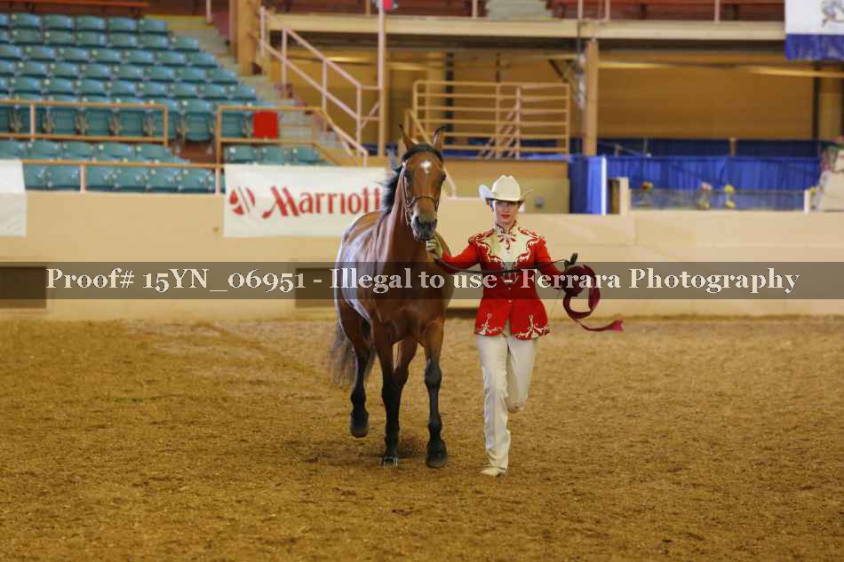 Proof 15YN_06951