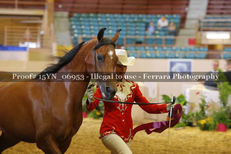 Proof 15YN_06953