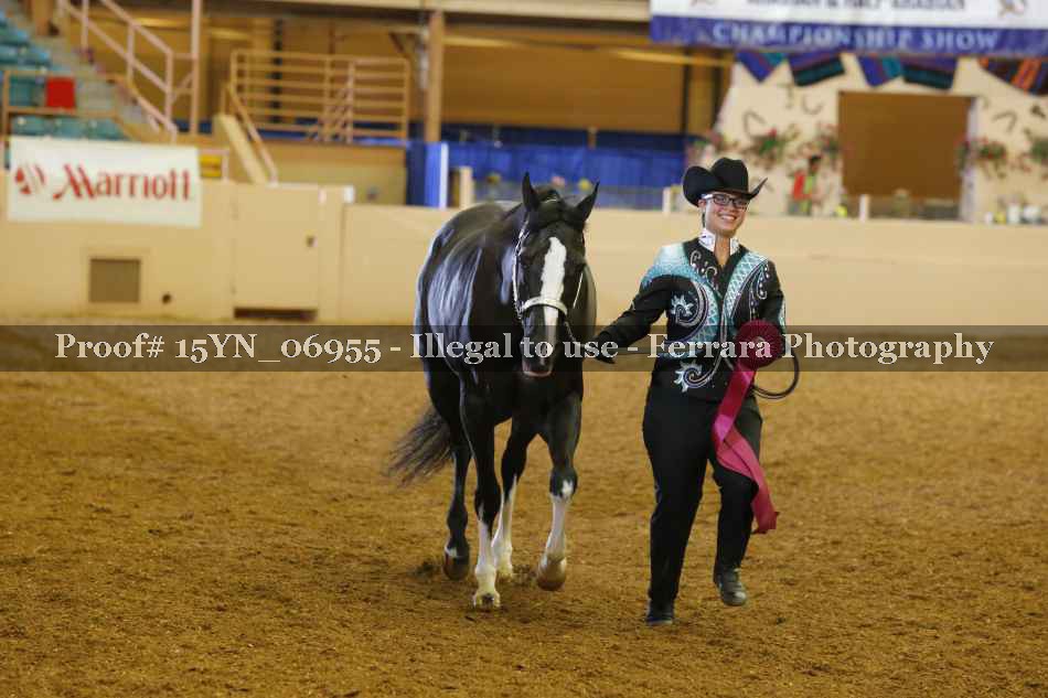 Proof 15YN_06955