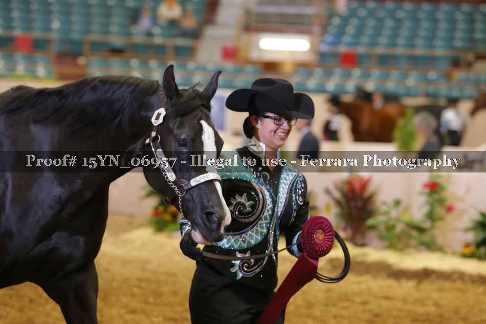 Proof 15YN_06957