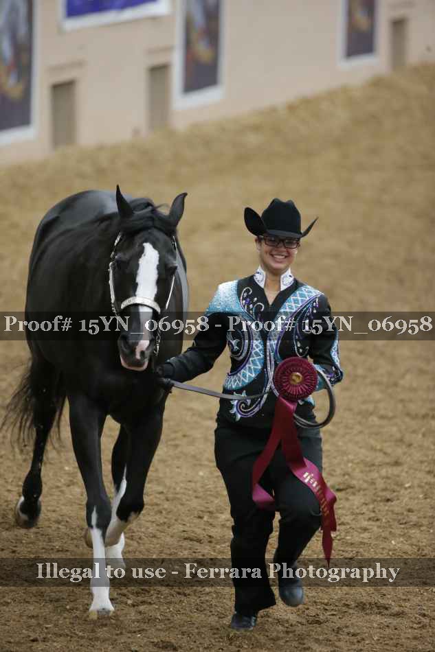 Proof 15YN_06958