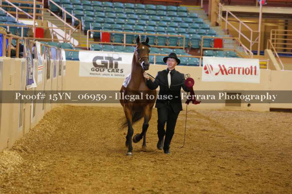 Proof 15YN_06959