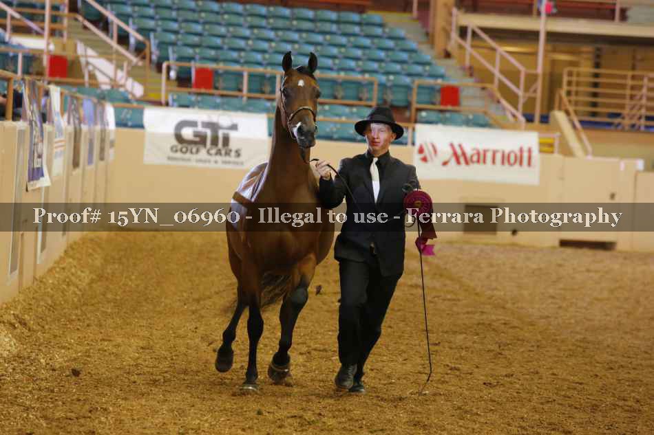 Proof 15YN_06960