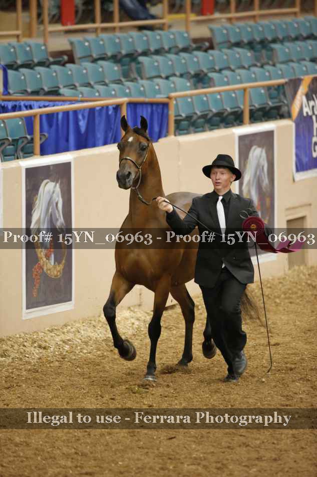 Proof 15YN_06963