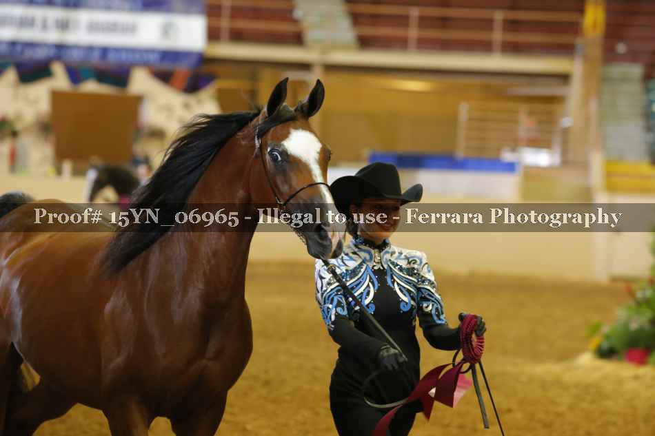 Proof 15YN_06965