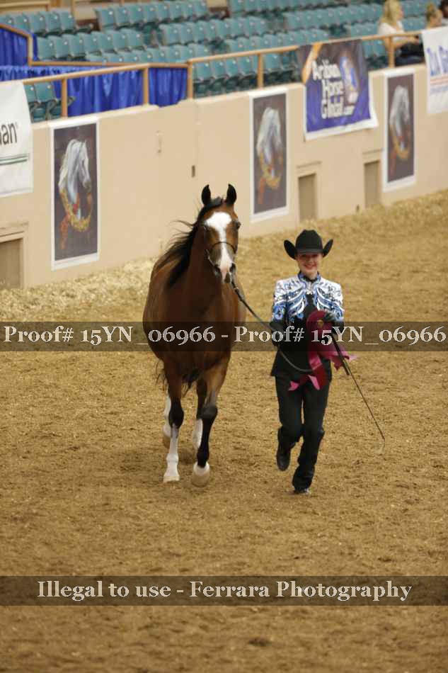 Proof 15YN_06966