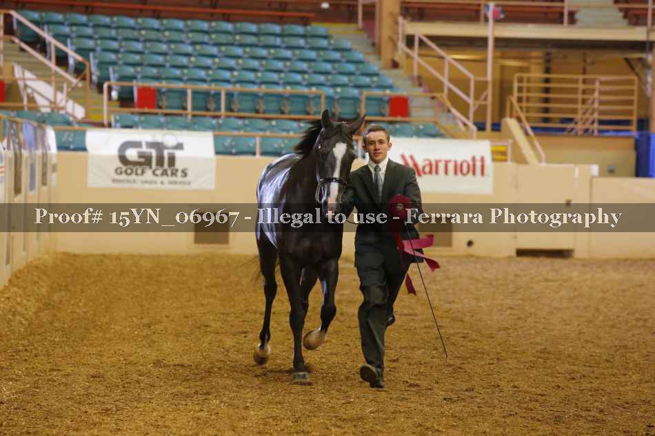 Proof 15YN_06967