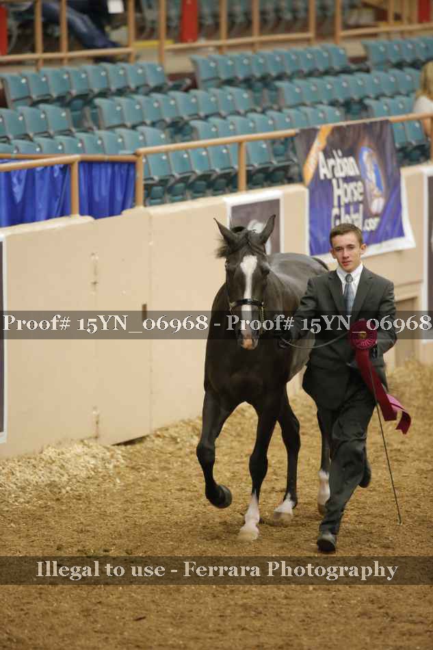 Proof 15YN_06968