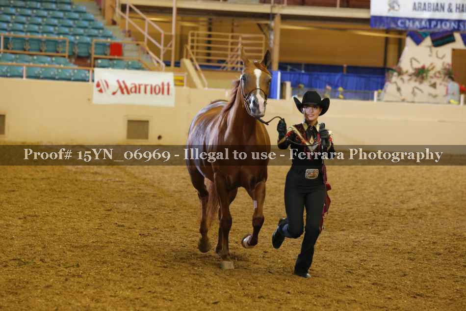 Proof 15YN_06969