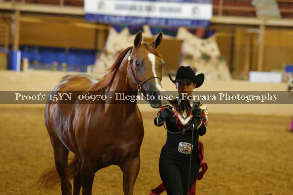 Proof 15YN_06970