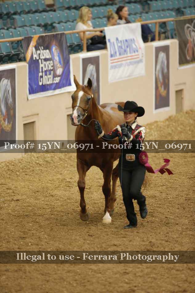 Proof 15YN_06971