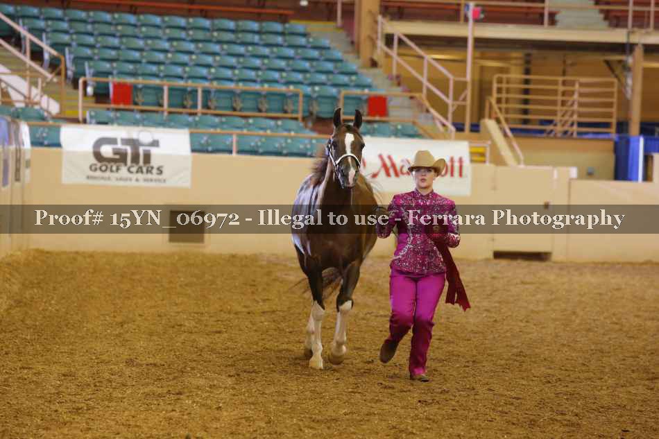 Proof 15YN_06972