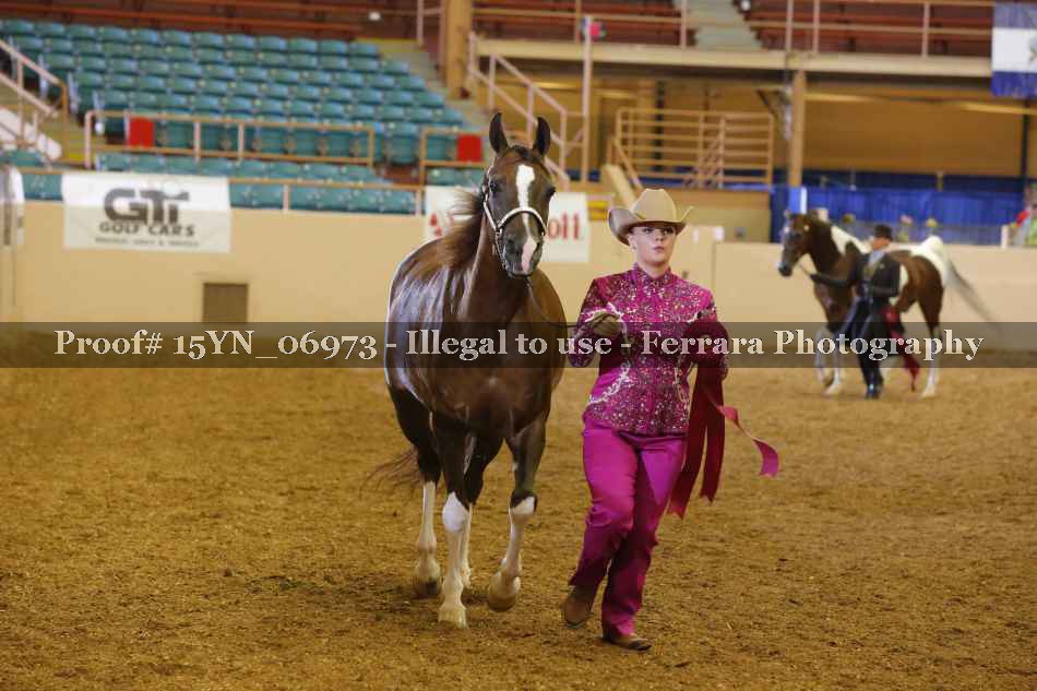 Proof 15YN_06973
