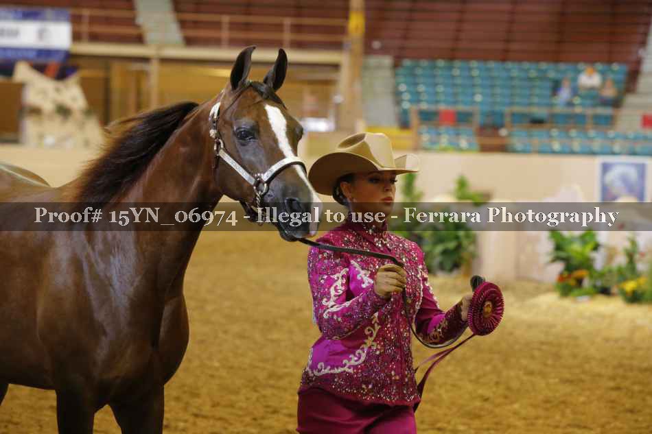 Proof 15YN_06974